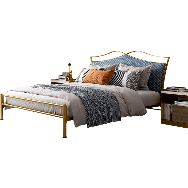 天坛家具 床  新款轻奢简约铁床 后现代新中式双人铁架床 金属双人钢木架子床 铁艺床+22弹簧床垫 1.8m