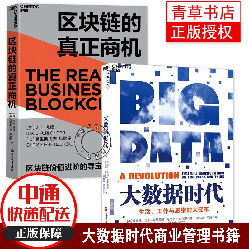 2册 区块链的真正商机+大数据时代 技术趋势 Gartner 时代之作区块链版大数据时代商业管理
