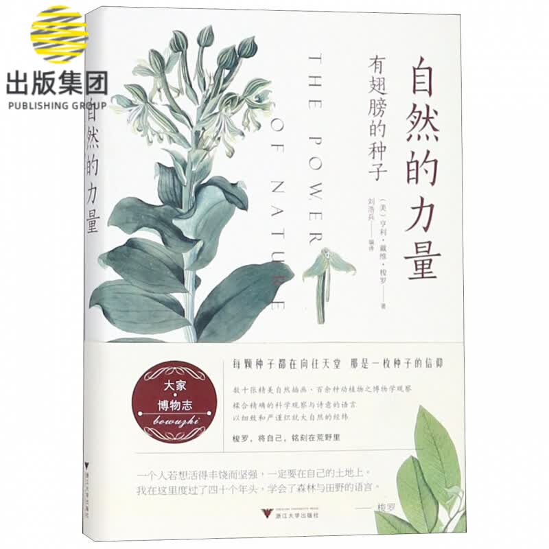 自然的力量(有翅膀的种子)