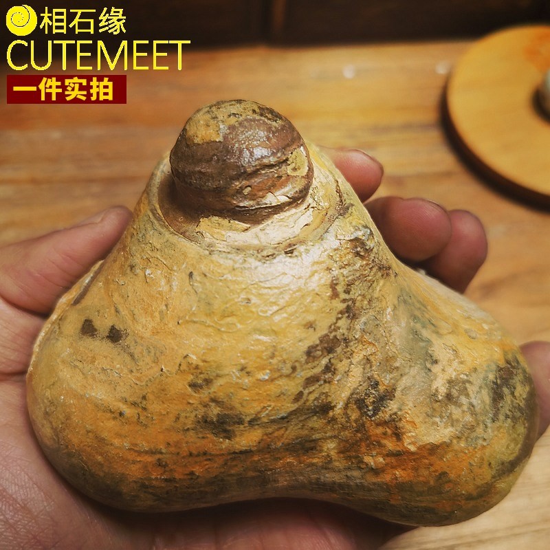 相石缘原矿黄皮象形禅佛玛瑙天珠手把件摆件矿物标本老皮文玩