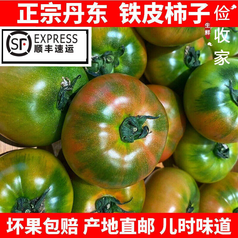 丹东铁皮柿子番茄西红柿特产碱地鹰嘴小柿子农家自种新鲜水果 精选
