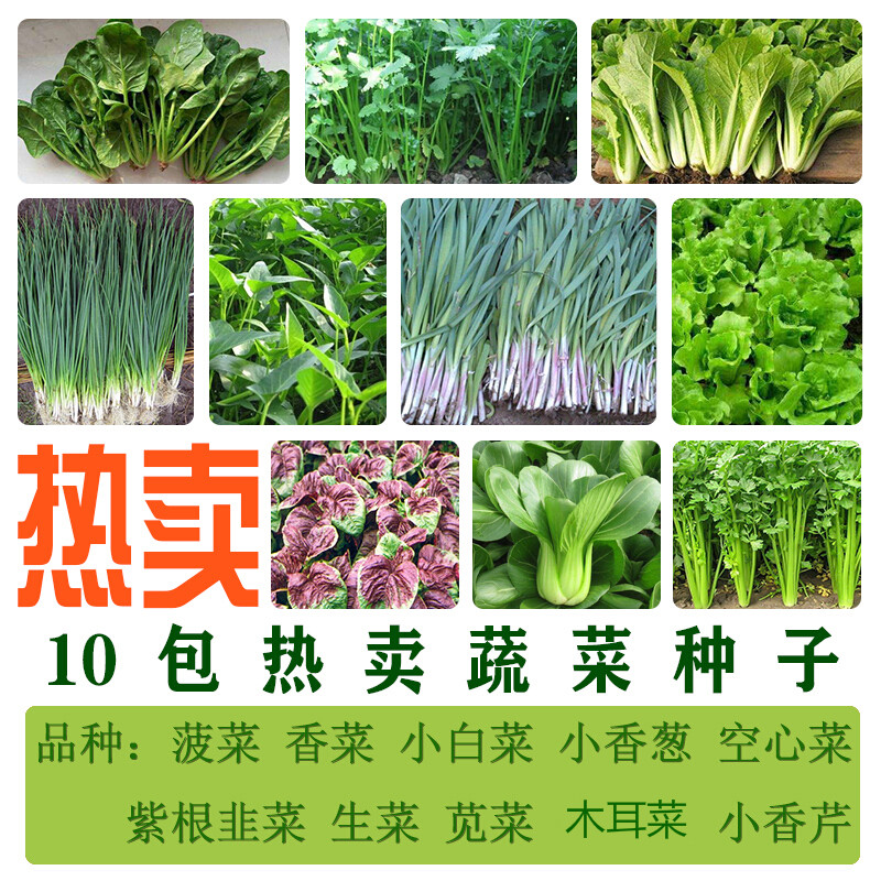 苏瑞蔬菜种子10种果蔬种籽组合四季阳台盆栽菜籽生菜香菜番茄韭菜种孑 十包易种叶菜种子