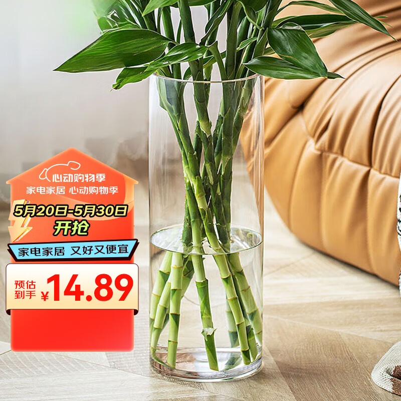 墨斗鱼玻璃花瓶透明植物插花瓶水培容器大花瓶装饰客厅摆件直筒款25cm