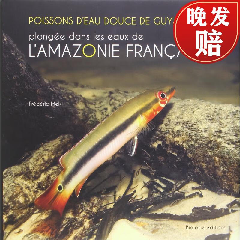 【4周达】poissons deau douce de guyane : plongee dans les eaux