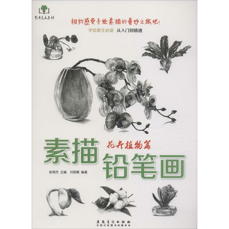 正版 素描铅笔画 花卉植物篇 百合多肉多叶植物鲜花等