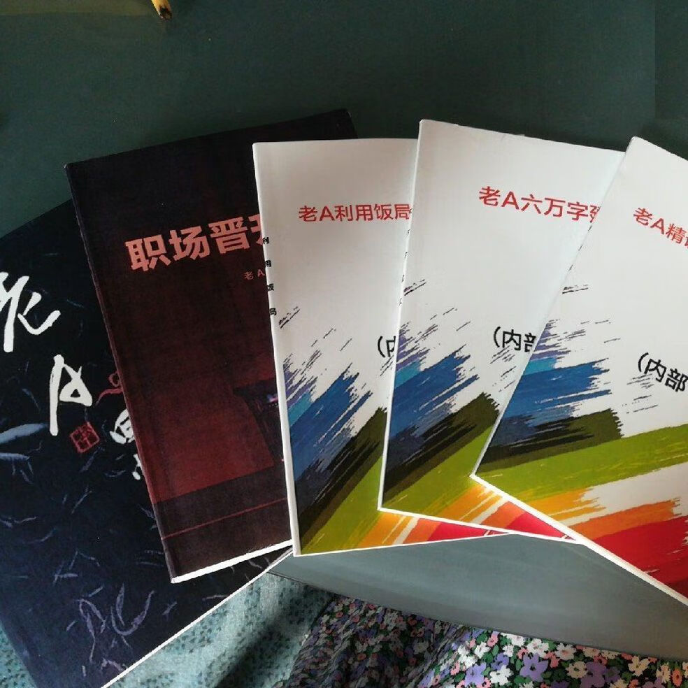 老a提拔重用职场晋升指南手册回忆录局场面话官场 誘-老a职场晋升指南