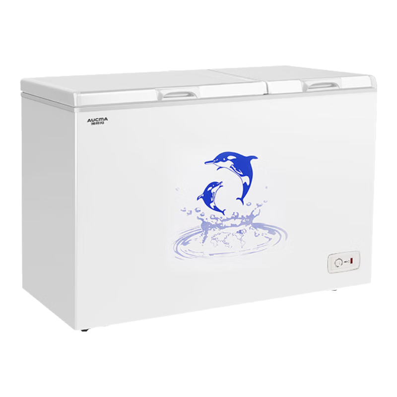 �Ŀ��� ˫��˫�䶥������ʽ���� BCD-300CNE 300��