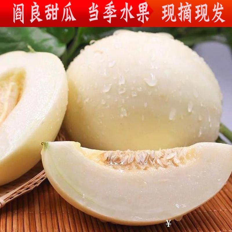 9985/觅鲜达 陕西阎良甜瓜 头茬小籽香瓜整箱新鲜当季水果白皮瓜白蜜瓜 3斤阎良甜瓜(试吃装)