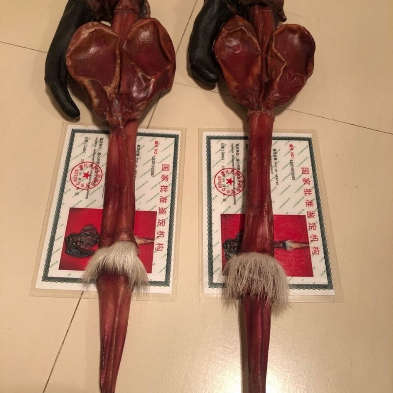 吉林梅花鹿带尾巴梅花鹿鞭整根梅花鹿鞭干鹿鞭150克梅花鹿鞭