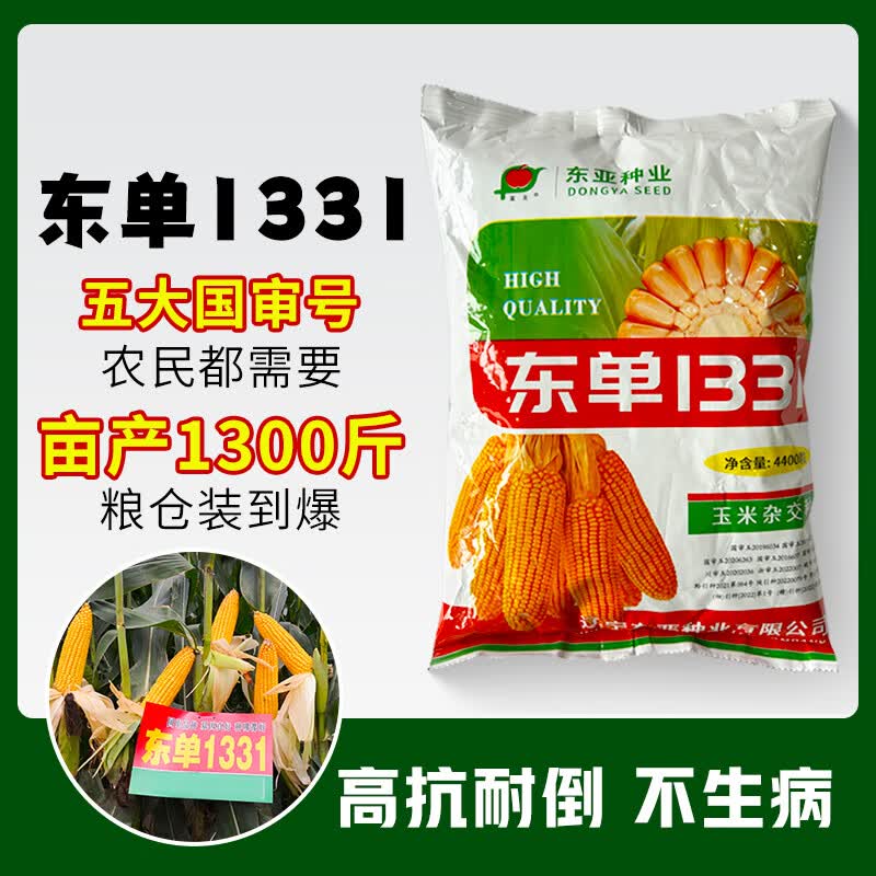 禾之润大田玉米种子高产郑单饲料玉米种籽万盛良玉玉米种孑大全 东单