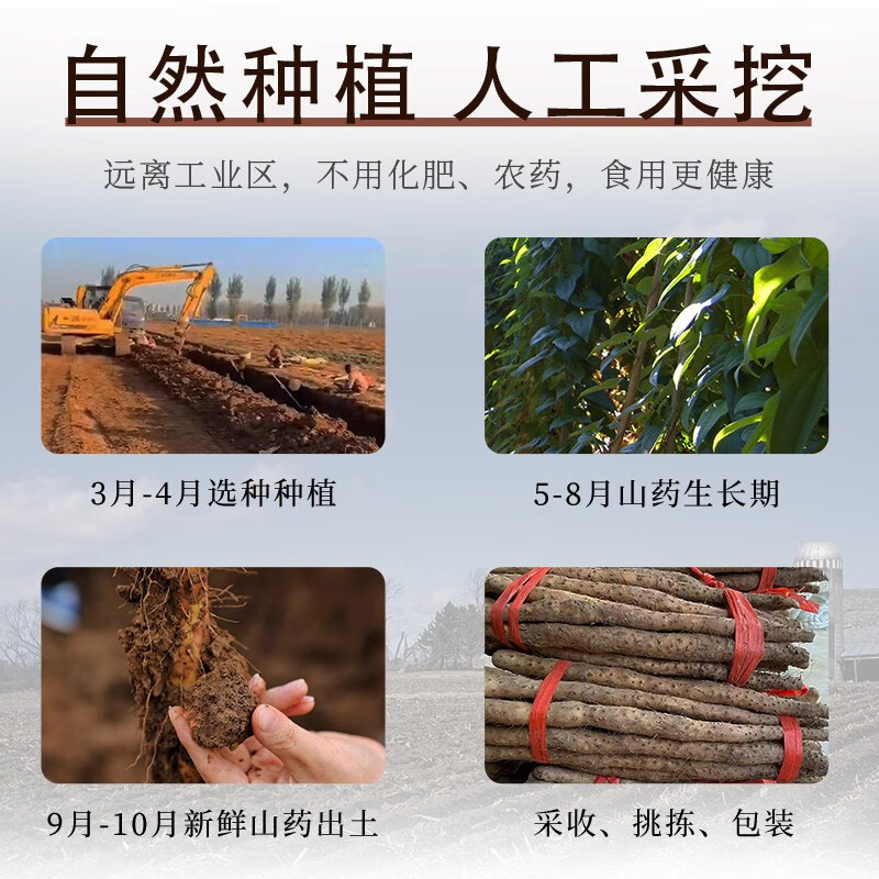 京蚨鲜温县垆土铁棍山药淮山药铁杆山药新鲜现挖蔬菜生鲜 净重5斤甄选【50-60mm】