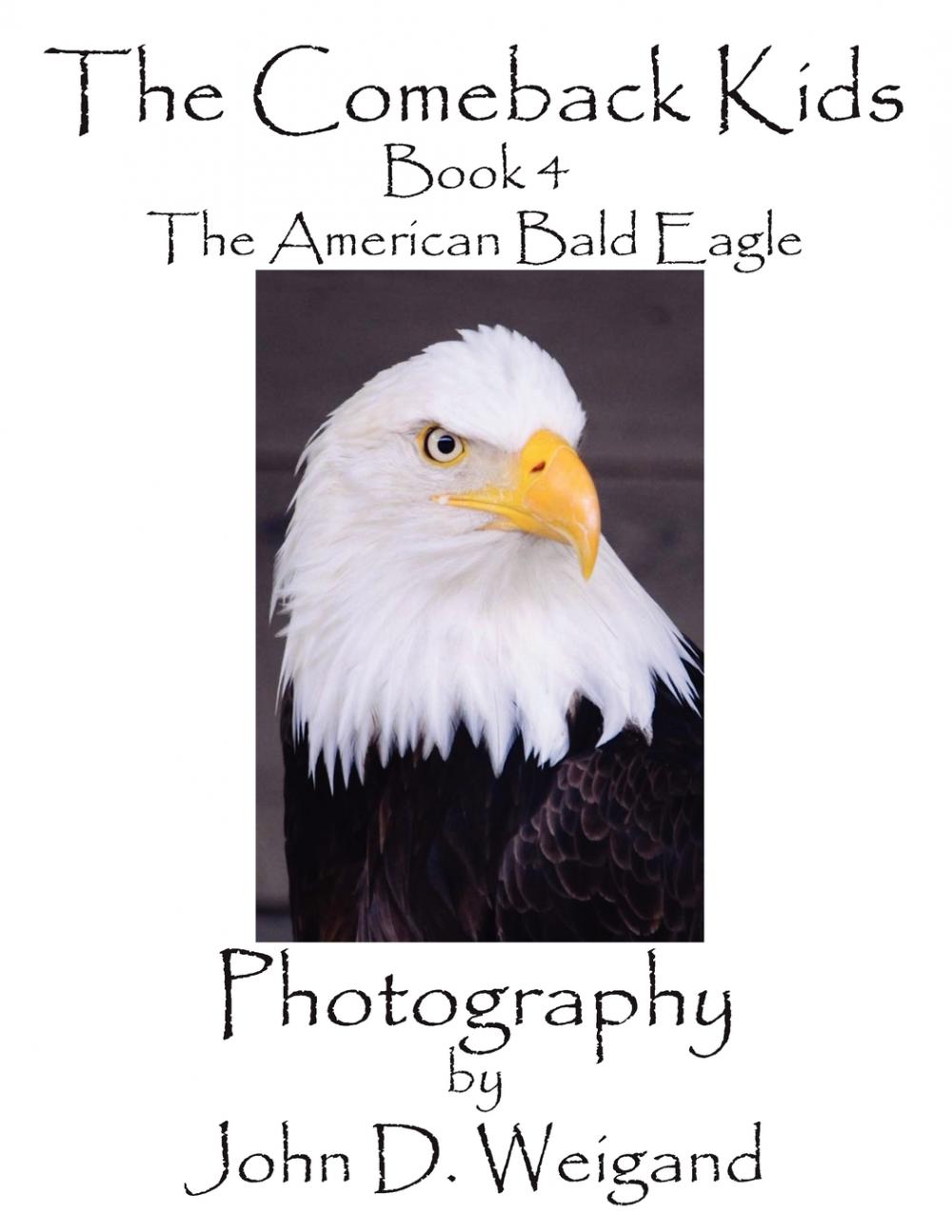 预售 按需印刷 the comeback kids, book 4, the american bald eagle