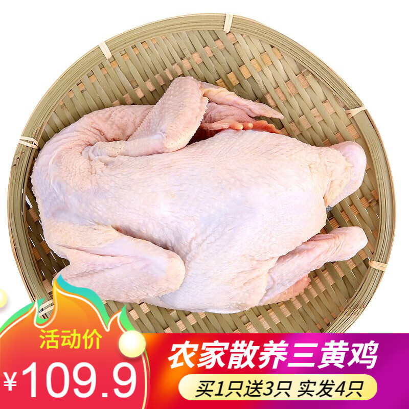 筱诺 土鸡三黄鸡童子鸡 生鲜走地鸡笨鸡 新鲜嫩鸡肉 整只装 约700g/只