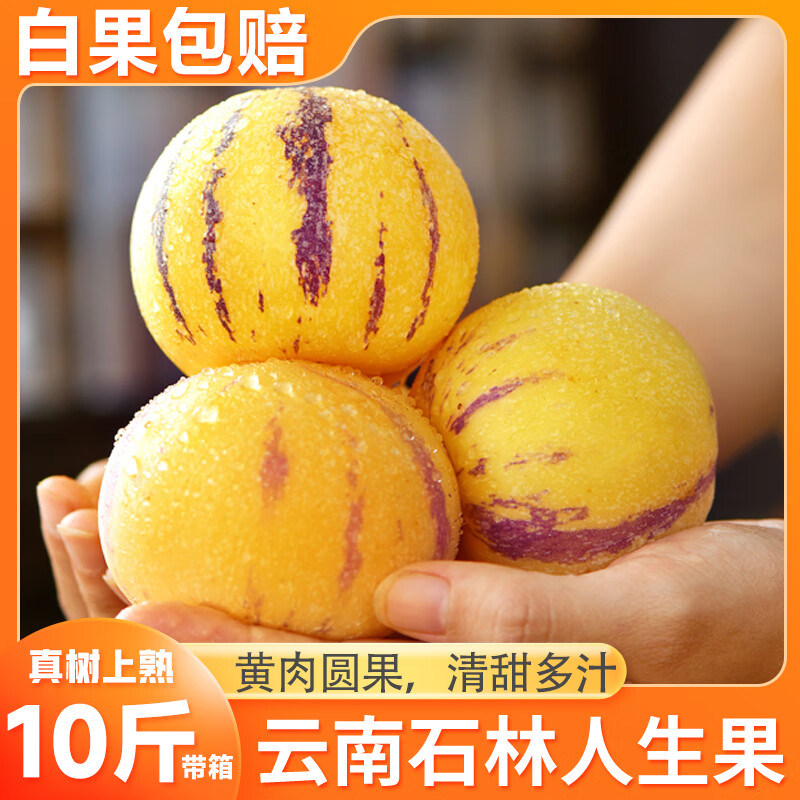 譯優(yōu)農(nóng)正宗云南人參果新鮮人生果樹上熟黃肉圓果當(dāng)季水果清甜多汁長(zhǎng)壽果 凈重 5斤 果王【100-180g】 商超級(jí)