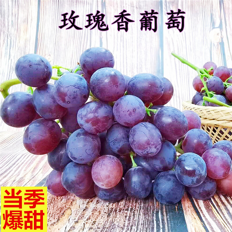 晨臻4斤山东大泽山玫瑰香葡萄新鲜水果现摘当季特产甜孕妇小葡萄顺丰
