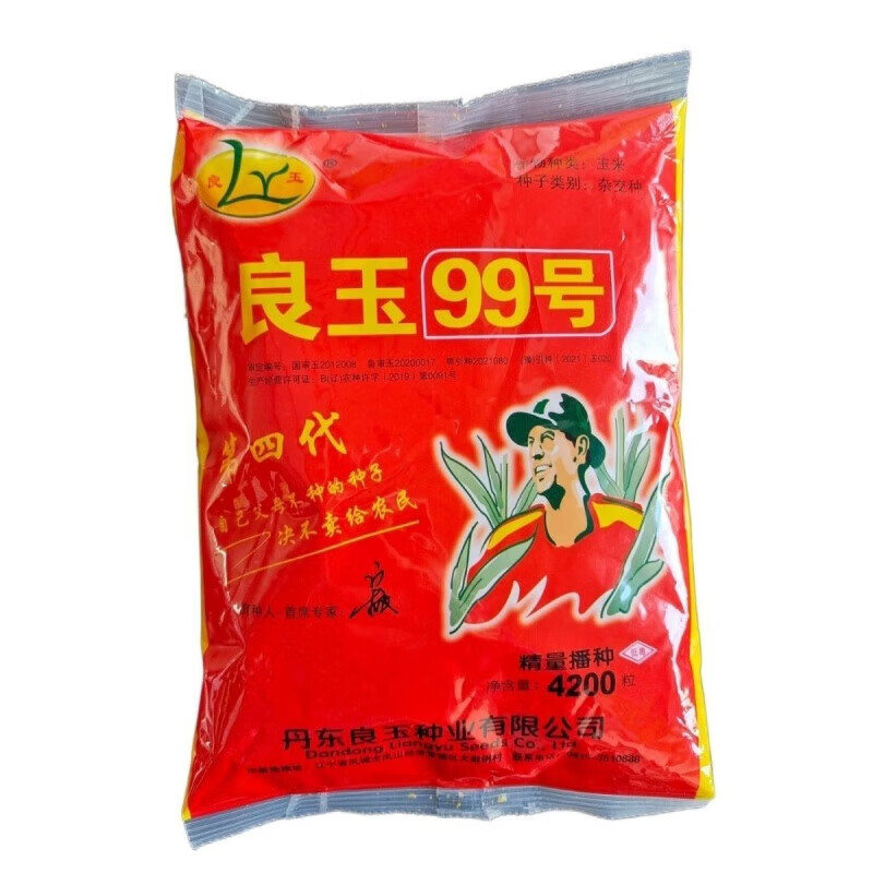 细辛新种丹东良玉99玉米种子批发第四代黄金粒育种家签名 4200粒每袋