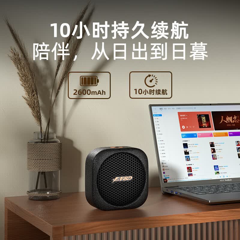 奋达（F&D）蓝牙音响 户外便携音箱 电脑音响 防水长续航低音炮大音量 RW10【便携10h续航大音量】