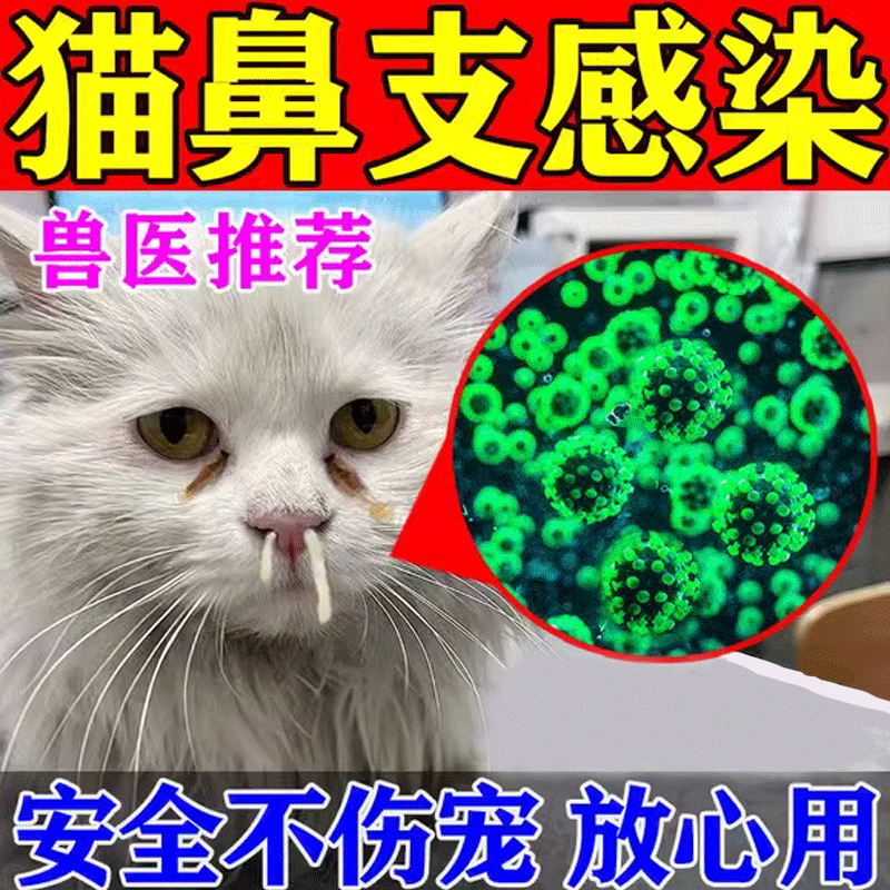 猫鼻支感冒发热打喷嚏流鼻涕鼻炎鼻塞效营养补充剂猫咪增强免疫力b 单