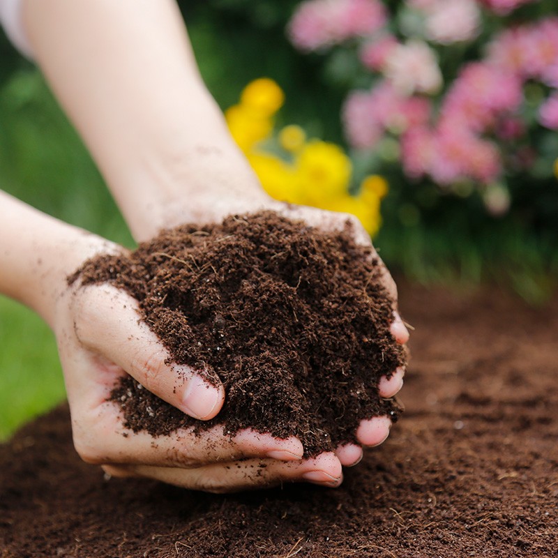 漫生活 10l通用型营养土 种菜土园艺种植土复合肥土 泥炭花卉果蔬土