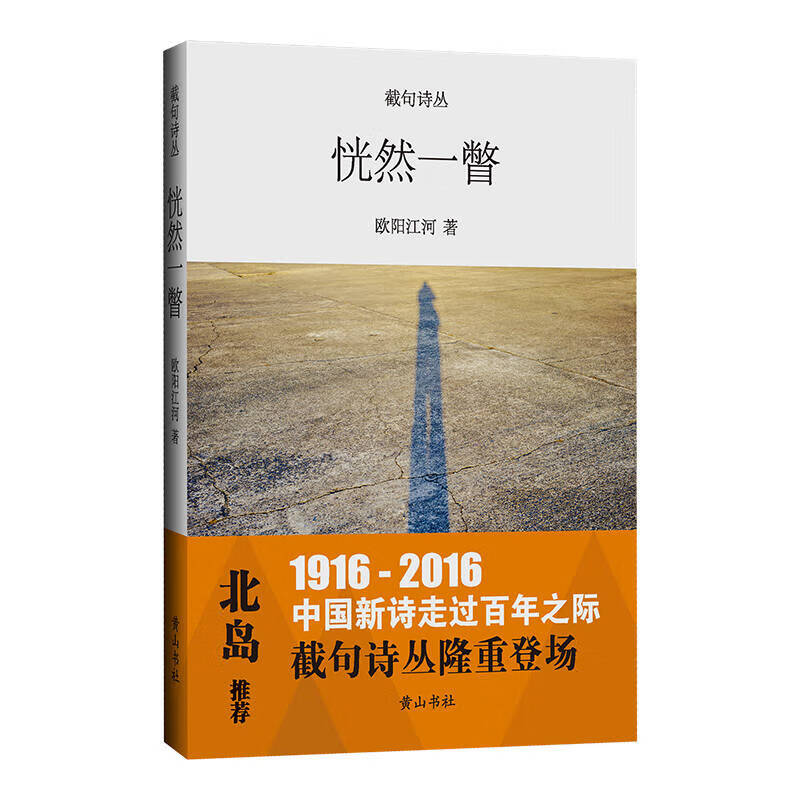 截句诗丛 恍然一瞥【好书】