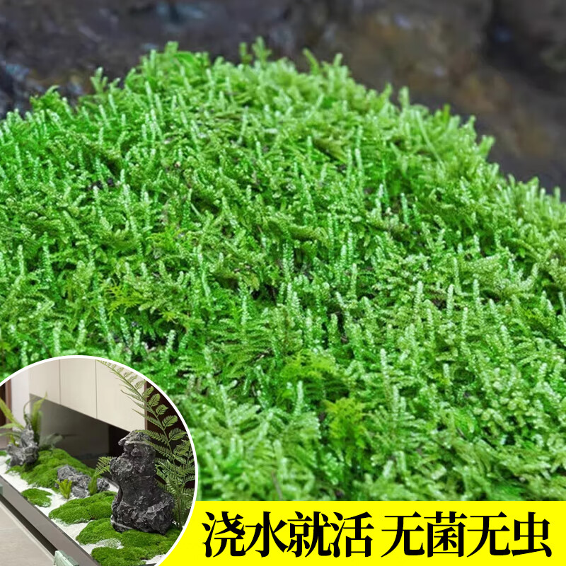 ������̦޺�ʻ�΢������ֲ�辰�����ɽ�쾰���������׷�����Դͷֱ�� 24.8Ԫ