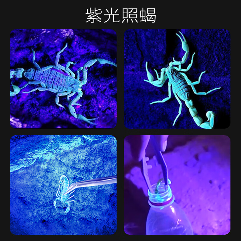微笑鲨蝎子灯超强手电筒395nm紫光灯强光验钞可充电照明鉴定专用灯 白紫光双光源 【伸缩调焦】