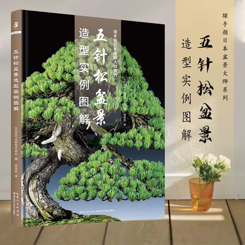 【书】五针松盆景造型实例图解 武桂名盆景造型养护手册盆景制作教材