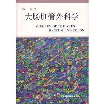 大肠肛管外科学【正版图书】