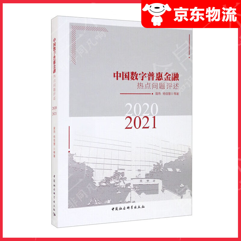 中国数字普惠金融热点问题评述（2020-2021）