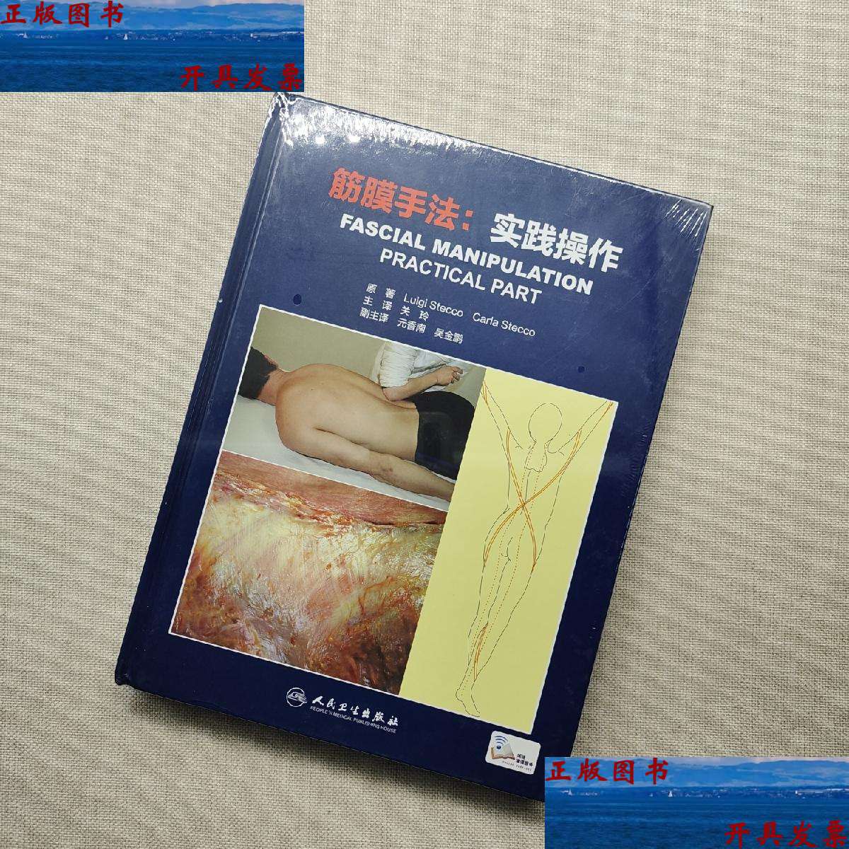 【二手9成新】筋膜手法:实践操作(翻译版) /uigi stecco carta stecco
