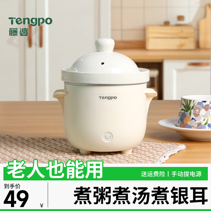 藤婆（tengpo）电炖锅 BB煲粥饭锅婴儿专用炖盅 宝宝炖汤全自动陶瓷辅食锅辅食机 迷你小炖锅熬粥养生陶瓷 白色 0.6L 文火慢炖-手动断电
