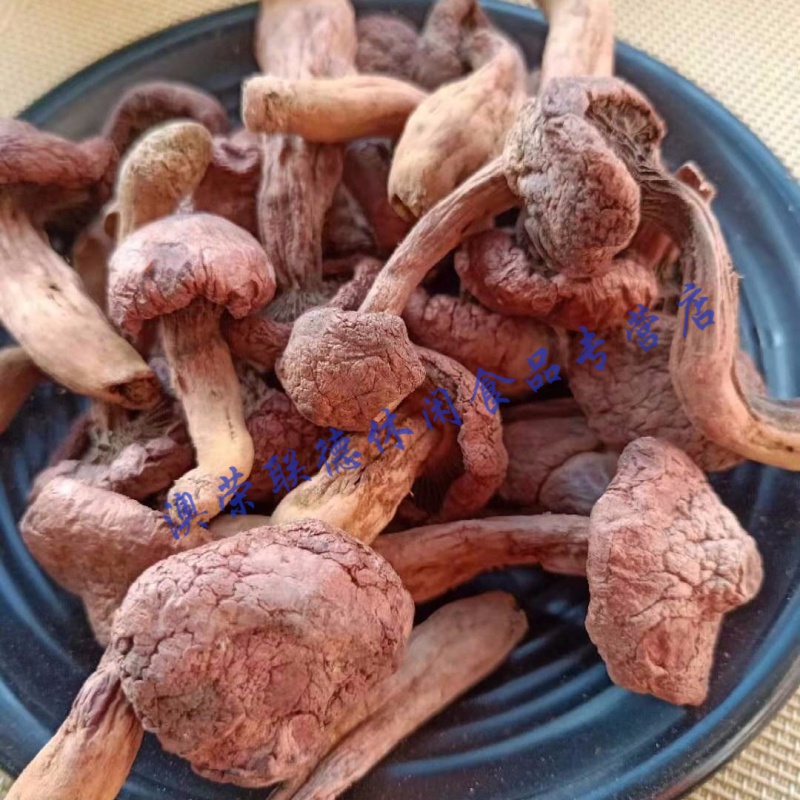 东北特产红蘑 长白山纯红松伞菇 新货菌菇干货松树蘑菇钉 一件 100克