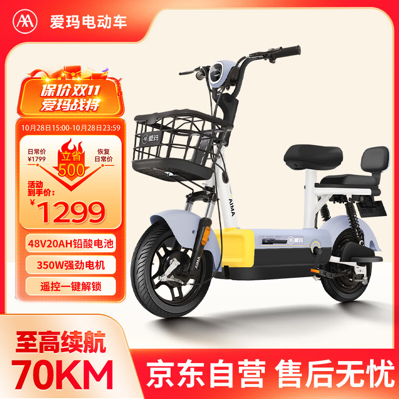 �����¹���綯��ս��48V20AhǦ���ش������������������г�Դ�ʻ�