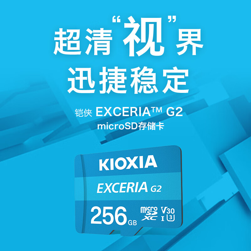 铠侠（Kioxia）256GB TF(microSD)存储卡 G2 系列 U3 A1 V30 行车记录仪&安防监控手机专用内存卡