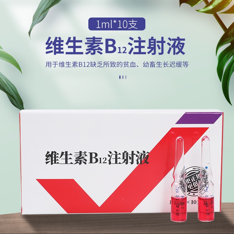 派克斯(pex)兽用维生素b12注射液 vb12消化不良运动失调猪药赖皮病