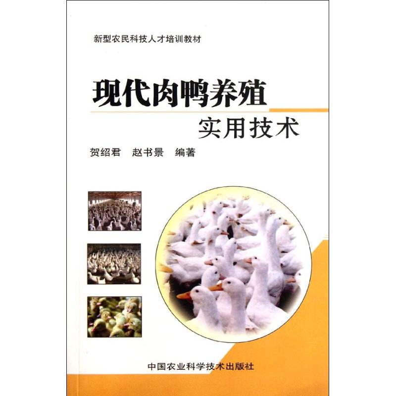 现代肉鸭养殖实用技术