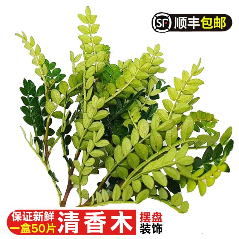 采鲜惠  新鲜清香木胡椒木叶子 蛋糕装饰金香木西餐酒店饮品菜摆盘