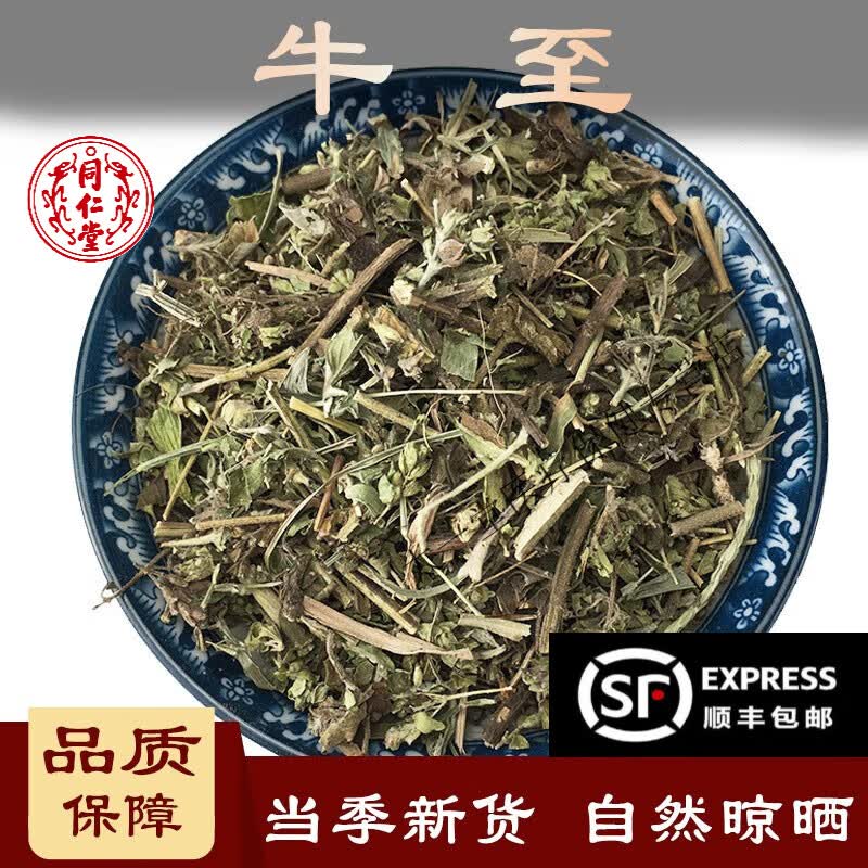 北京同仁堂牛至中药材 500克小叶薄荷满坡香土香薷白花茵陈五香草山