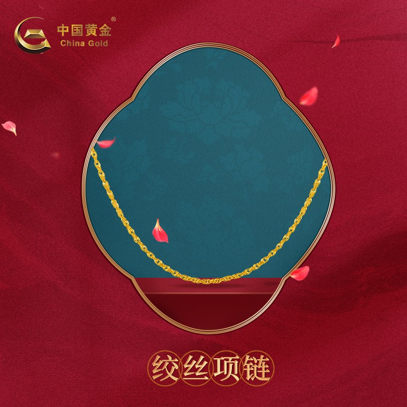 中国黄金 足金简单精致5G绞丝链新款锁骨项链黄金珠宝首饰 （计价）约3.3g