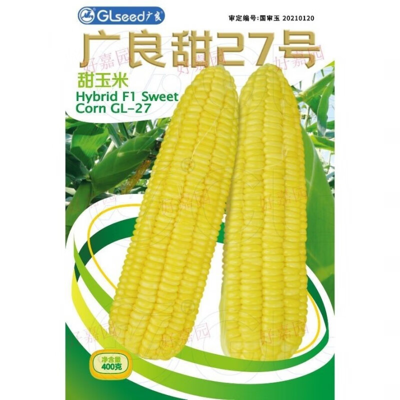 细辛进口太阳花特大超甜玉米种子甜27抗病高产基地水果生吃型 广良27