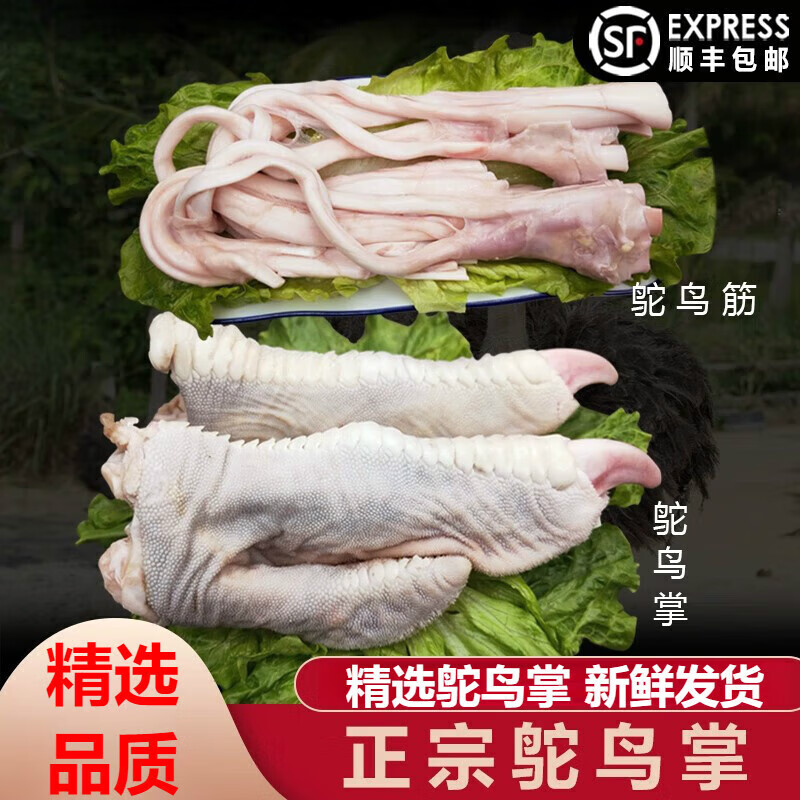 七叶岛【顺丰直达】鸵鸟脚精品鸵鸟脚掌收拾好的带筋速冻发货 一只脚