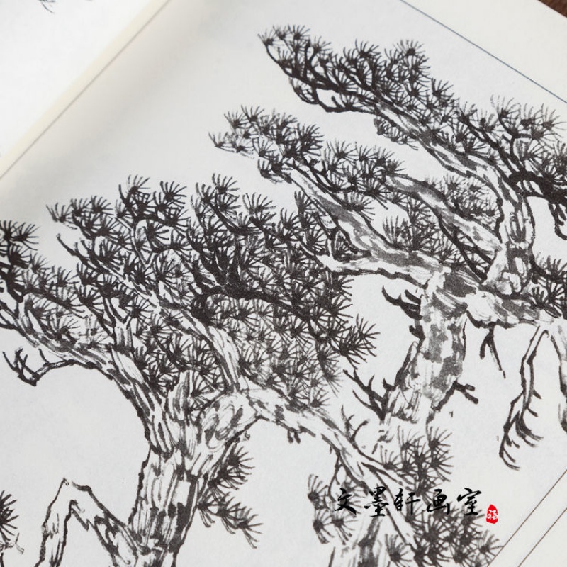 中国画名家白描百树画谱书 线描临摹松树杨柳树柏树工笔画书籍