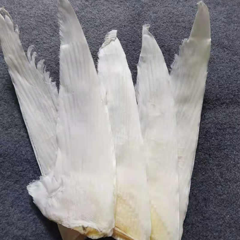 金钩翅 1斤8-9头 多规格 新西兰金勾菊花牙捡骨翅干货食用鱼鳍鮰干货