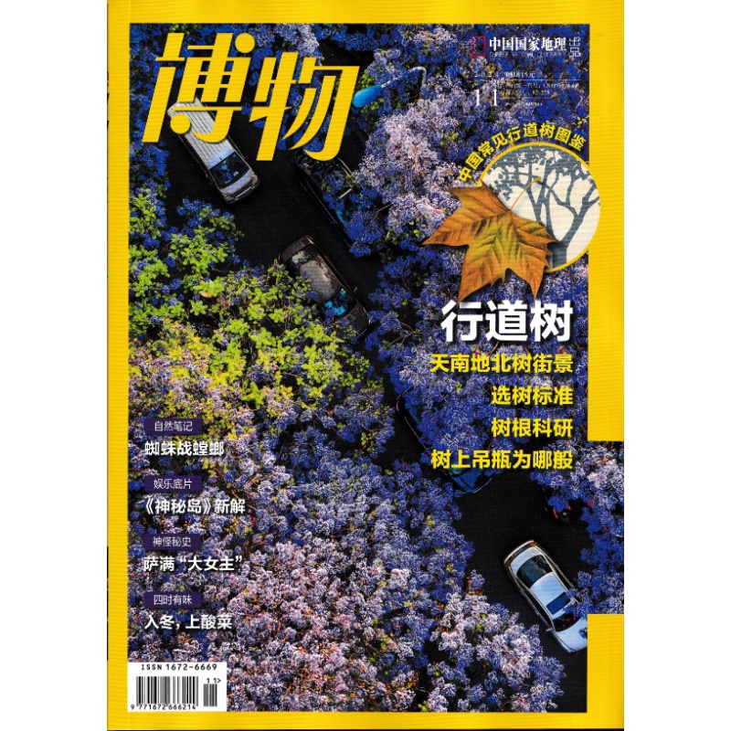 博物2021年系列 2021年11月/行道树