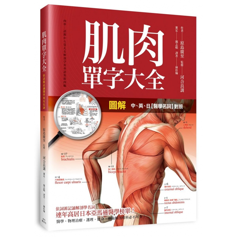 现货 正版 原版进口图书 图解肌肉单字大全 枫书坊