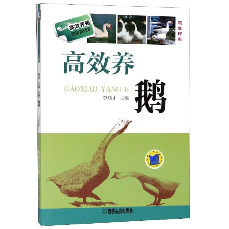 高效养鹅