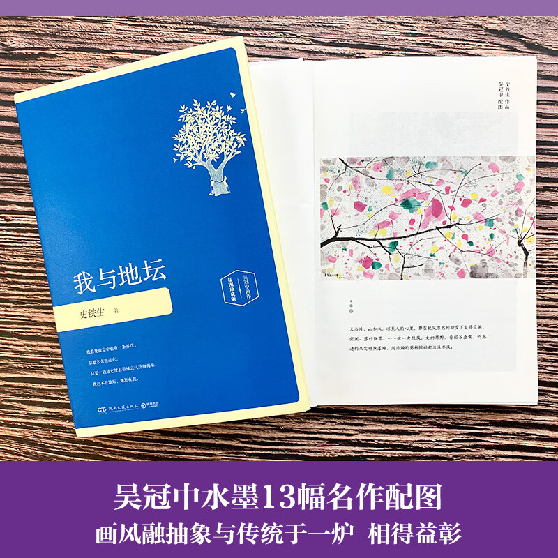 我与地坛插图珍藏版 史铁生代表之作现当代文学随笔散文集中国现当代