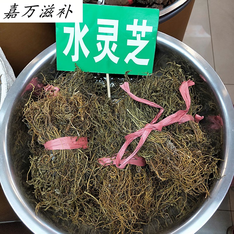 水灵芝水黄连 道地材水灵芝草青鱼胆草全国【嘉万滋补品【推荐】水