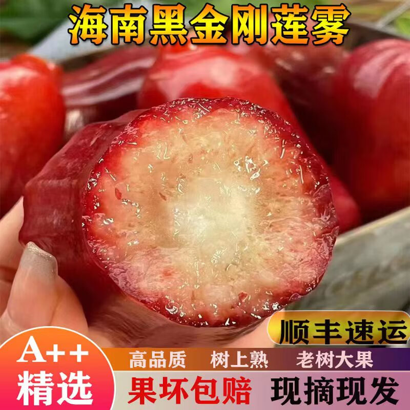 海南三亚黑金刚莲雾,清爽脆甜,树上熟黑金刚莲雾,孕妇水果 2斤特大果