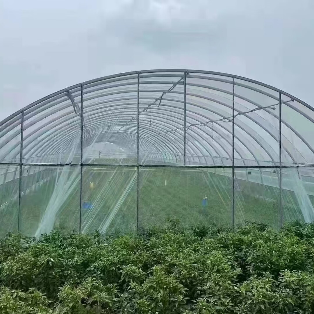 瑞策温室简易大棚加固蔬菜大棚养殖大棚镀锌保温大棚 种植棚 进口无滴